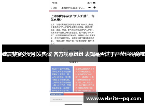 魏震禁赛处罚引发热议 各方观点纷纷 表现是否过于严苛值得商榷